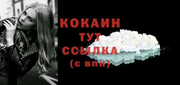винт Рославль