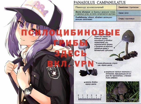 МДМА Белоозёрский