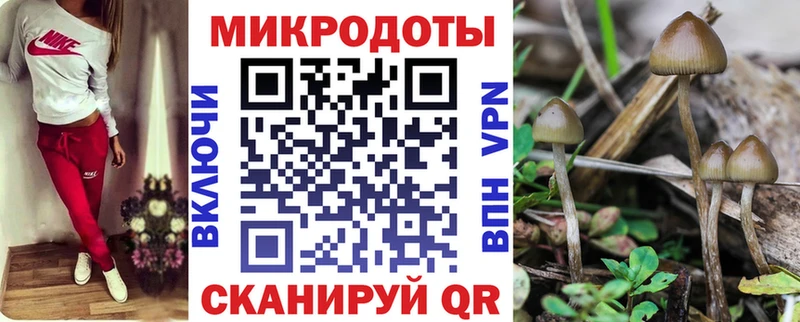 Галлюциногенные грибы Psilocybe Любим